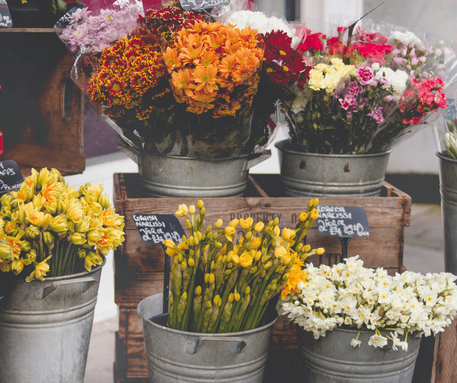 Pictures of various types of flowers for sale. 