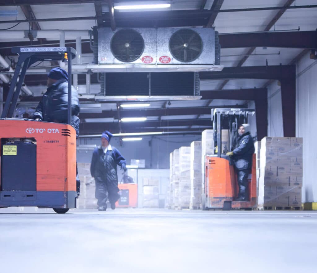 Refrigerated warehouse companies - Warehouse operations in action for cold chain logistics