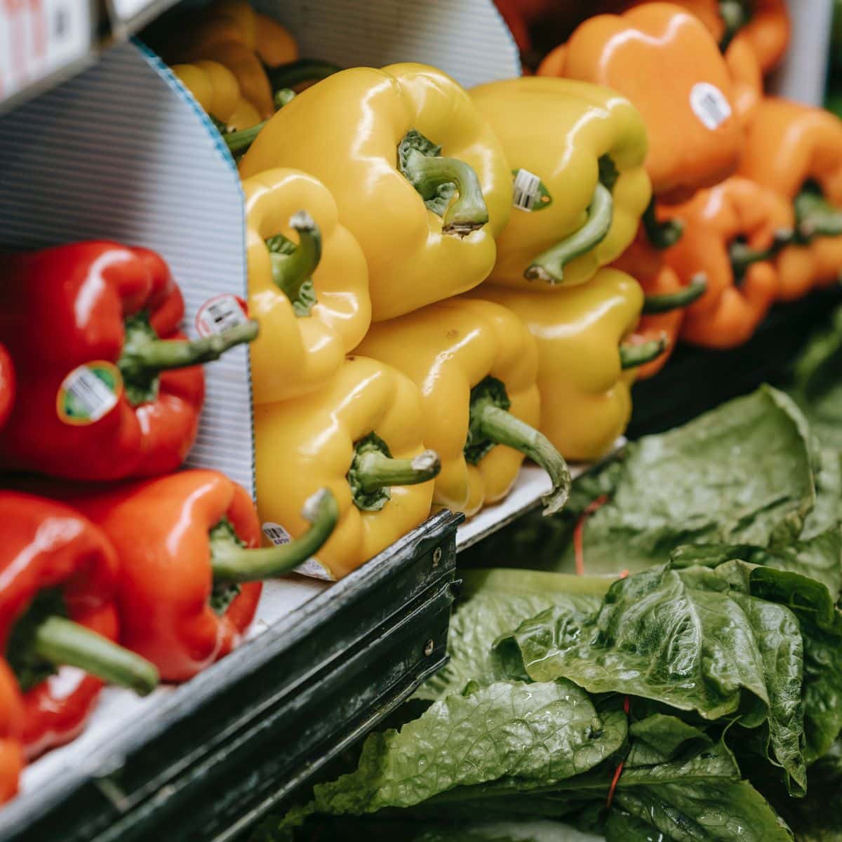 A picture of refrigerated shelves tocked with vegetables like peppers and lettuce. They're a perfect candidate for food-grade warehousing services. 