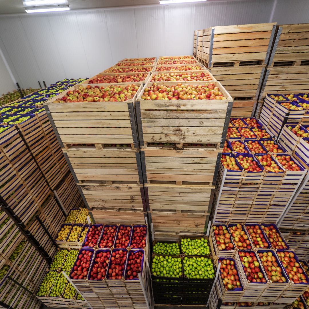 This is a photo of perishable food items stored in a refrigerated room. Refrigerated trucking companies have the ability to keep products cold along the supply chain.